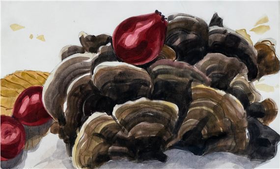 Shells and Seeds by Ana Maria Smigelschi, 1991