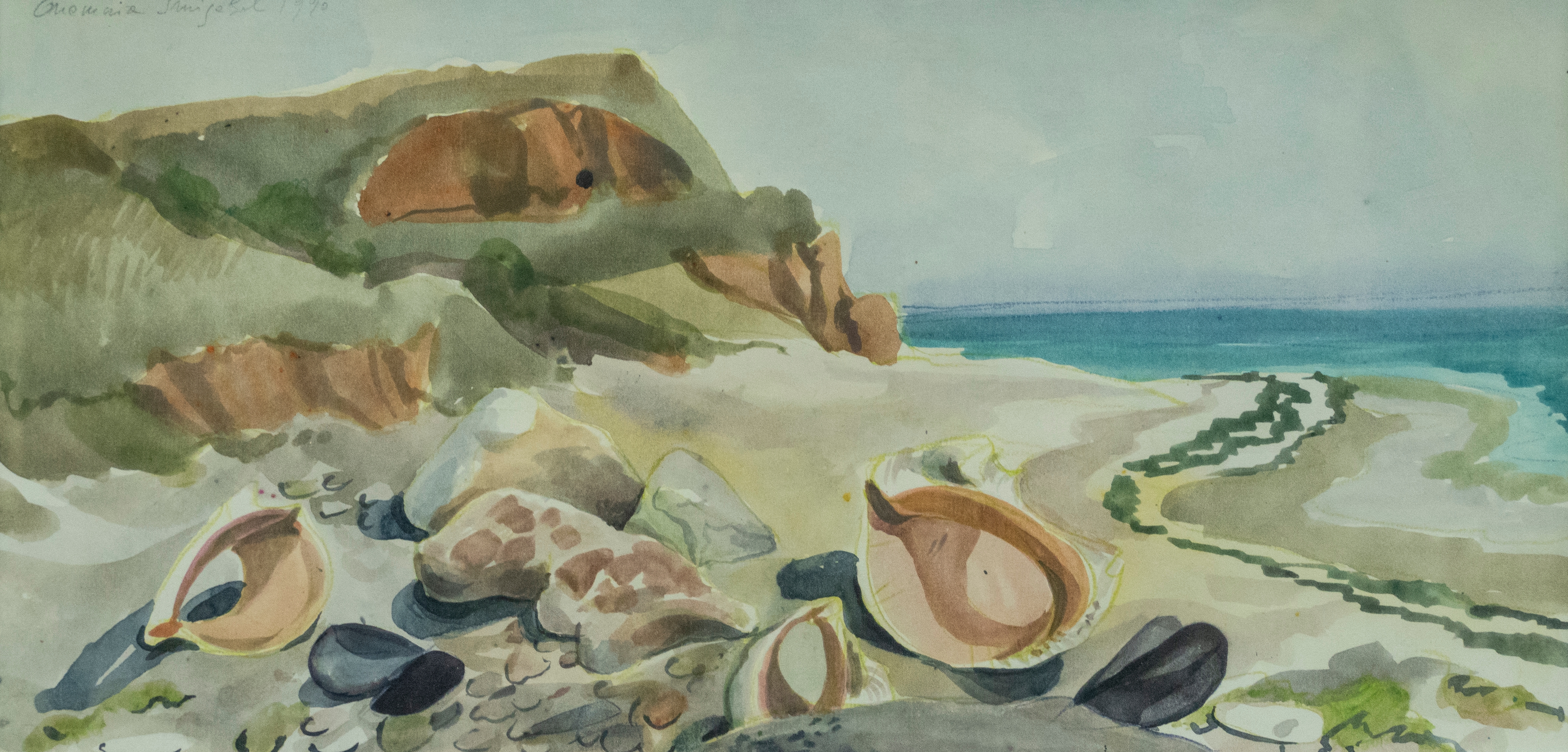 Artwork by Ana Maria Smigelschi, Shells at Vama Veche, Made of watercolour
