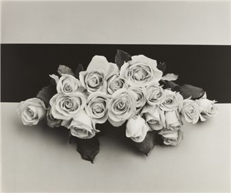Mapplethorpe Robert | Derrick Cross (1983) | MutualArt