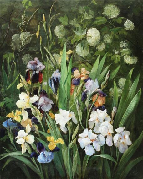 Flowering Iris by Julie Hamann, 1897
