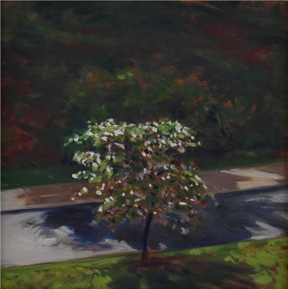 SMALL TREE ON JEFFERSON PARK AVENUE CHARLOTTESVILLE by Richard Lewis Crozier