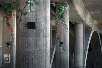 Streets / Videos: Xenz – “Concrete Jungle” (Oslo)