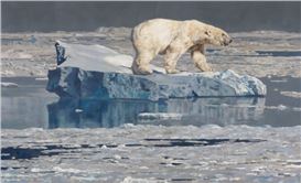International Guild of Realism 15th Annual Exhibition