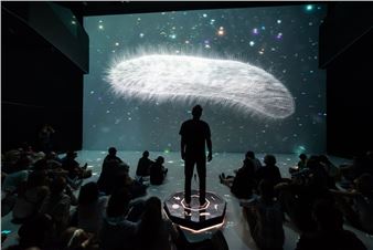 Re-Connecting Art and Science. In Conversation with Victoria Vesna