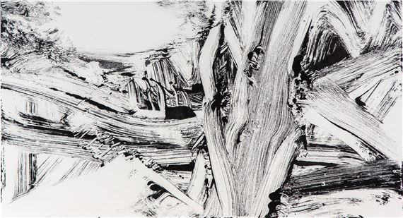 Robert Zandvliet | Untitled (2000) | MutualArt