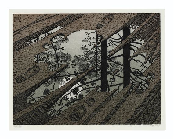 Puddle by Maurits Cornelis Escher, 1952