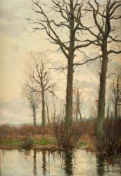 Abords d’étang - Xavier Wurth