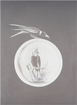 Nature Recorded - Gabrielle Courtenay