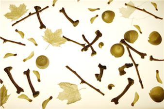 Life as We Know It - InterAccess