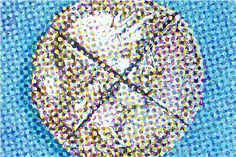 H.A. Halpert: Optic Chiasmus - A.I.R. Gallery