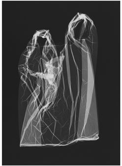 Jens Knigge & Didier Goupy: Matière primaire - Galerie Esther Woerdehoff, Paris