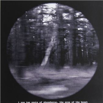 I SAW TWO SPOTS OF PHOSPHORUS, THE EYES OF THE BEAST - Martin Healy