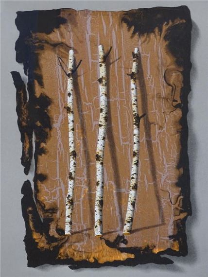 Birch Fragment II by Terence Warren, 1990