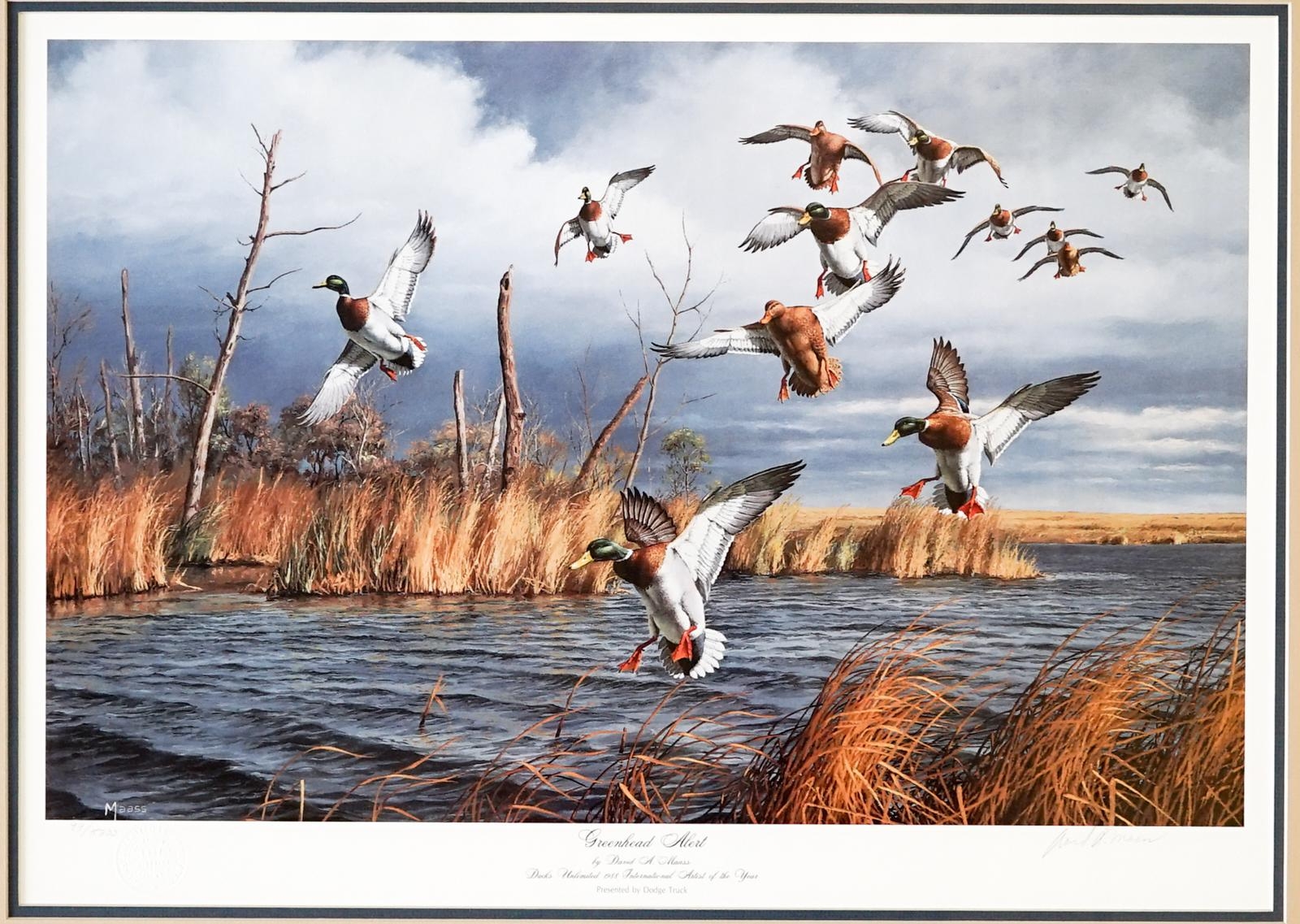 David Maass Greenhead Alert MutualArt