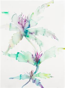 Kim McCarty: Potted - David Klein Gallery