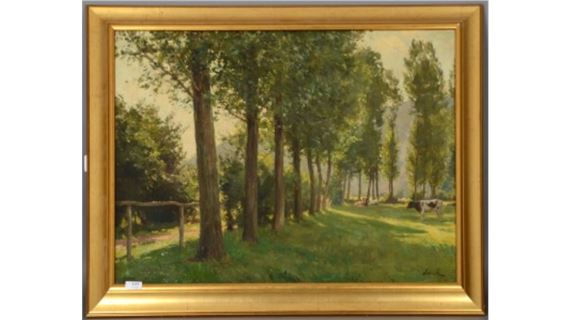 "Pré ensoleillé à Remouchamps" by Xavier Wurth