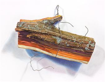 Black Locust Split - Walter Hatke