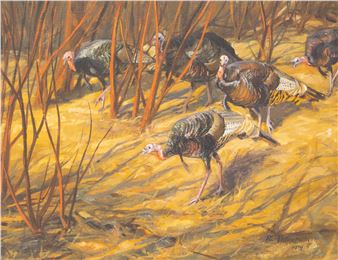 Turkeys - Richard Thompson