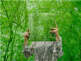 Asia Now Fair Swoops up Would-Be Fiac Exhibitors
