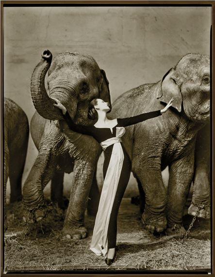 Dovima with Elephants, Evening dress by Dior, Cirque d'Hiver, Paris by Richard Avedon, August 1955