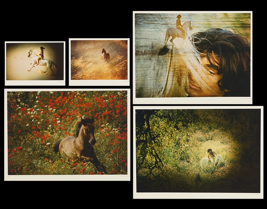 Five Color Horse Photographs by Robert Vavra