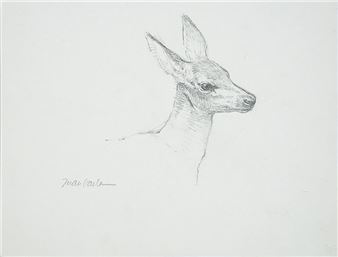 Estudio de cervatillo - Juan Varela