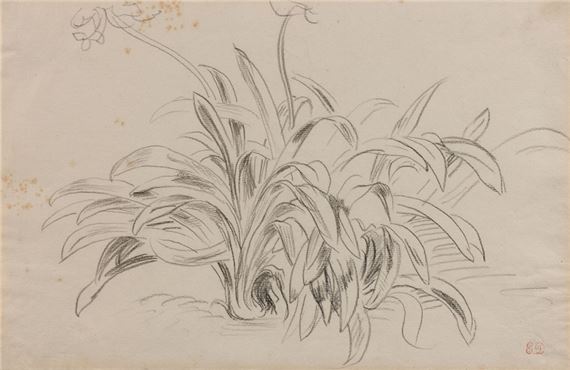 Etude d'agapanthes by Eugène Delacroix