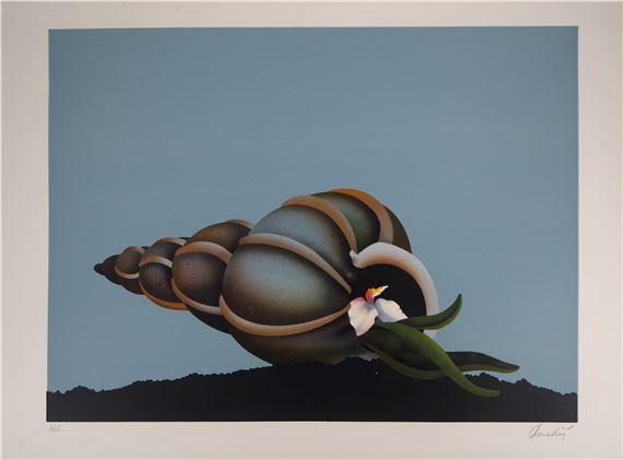 The shell by Jean-Paul Donadini