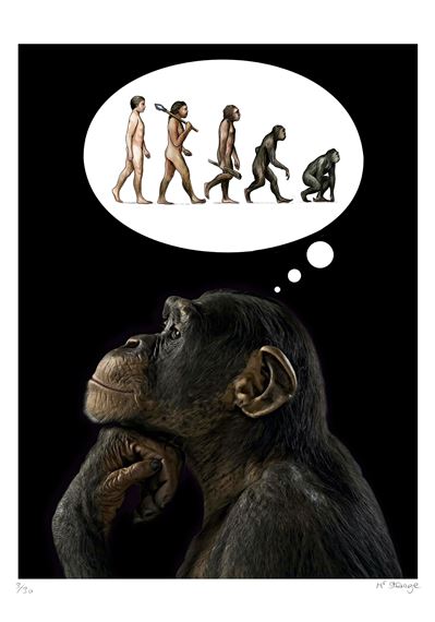 Homo Stupidus