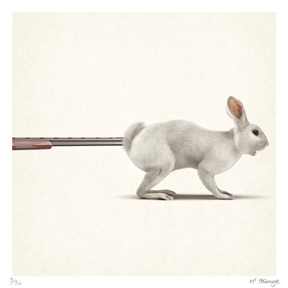 Le lapin chasse