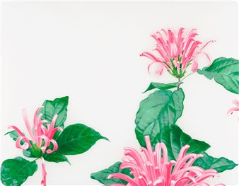 üٱ - Christian Faul