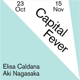 ONLINE: Elisa Caldana & Aki Nagasaka: Capital Fever - Corridor Project Space