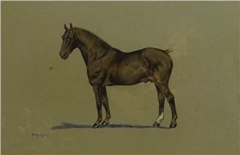 Portrait of a Liver Chestnut Stallion - G. Falkner