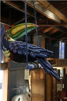 Tropical Tucan - Javier Martinez