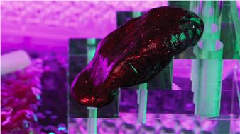 International Group Exhibition at Škuc Gallery