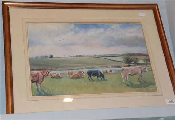 Mister George Hammonds cattle by Robin Furness, 1982