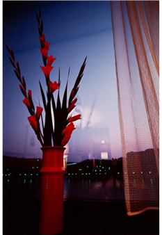 Budapest - Marissa Roth