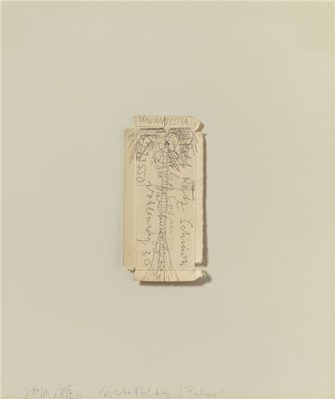 Verschaffeltia (Palme) by Joseph Beuys, 1972