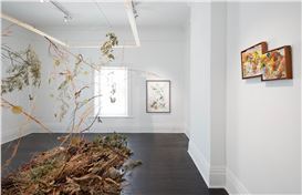What Grows:io Makandal’s ‘Terra Visions’