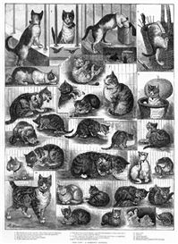 Louis Wain and His Weird Cats