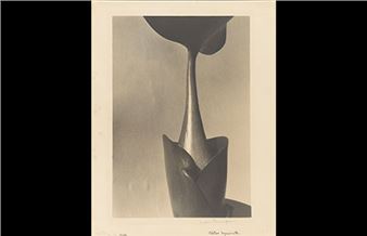 Masterpieces of Photography: The First Hundred Years, 1839–1939 - Virginia Museum of Fine Arts