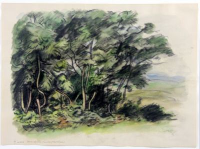 Blick aus dem Fenster (Horsham)