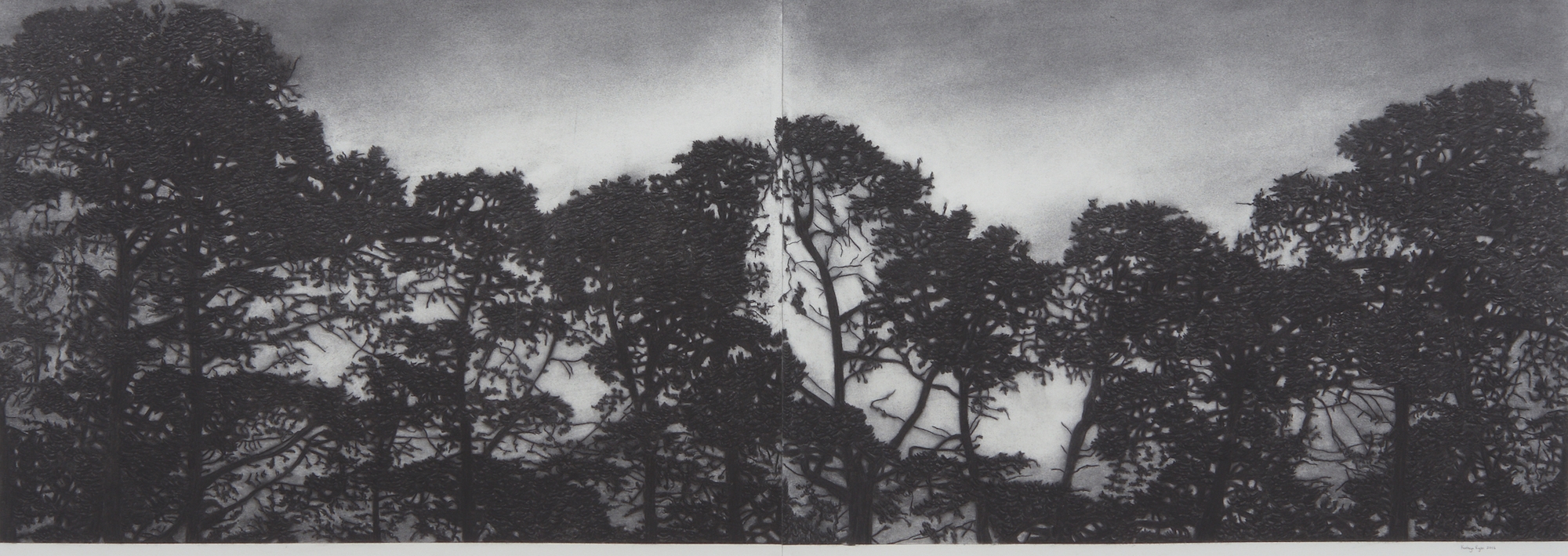 Artwork by Kathryn Ryan, Railway Pines, Made of charcoal on paper