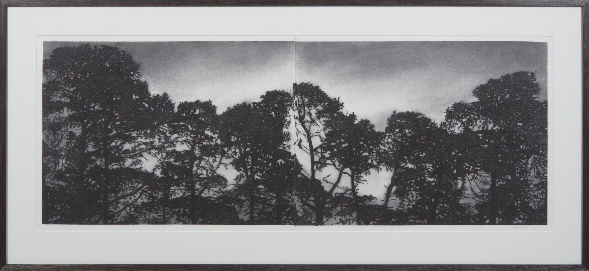 Artwork by Kathryn Ryan, Railway Pines, Made of charcoal on paper