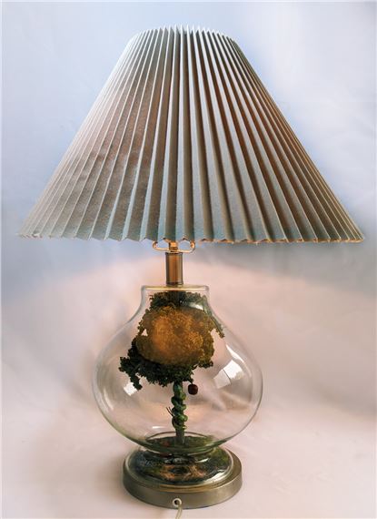 Shawn Mayer: Failed Perfection - Liliana Bloch Gallery