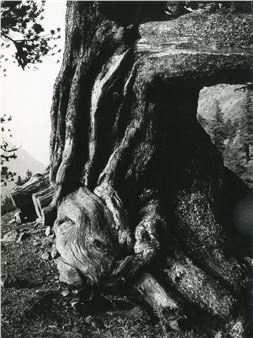 Thirty Four Works: Paysages de montagnes - Robert Hamelin