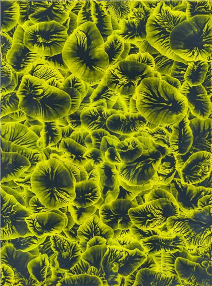 Untitled by William Wood