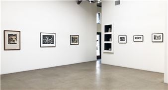 Francisco Toledo: Selected Prints 1970-2018 - Latin American Masters