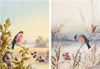 Summer - A Pair of Bullfinch; Winter - A Cock Bullfinch and Wren - Harry Bright