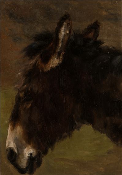 A Donkey Study by Frederic Whiting